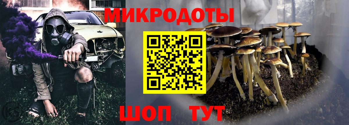 Псилоцибиновые грибы мицелий Черняховск