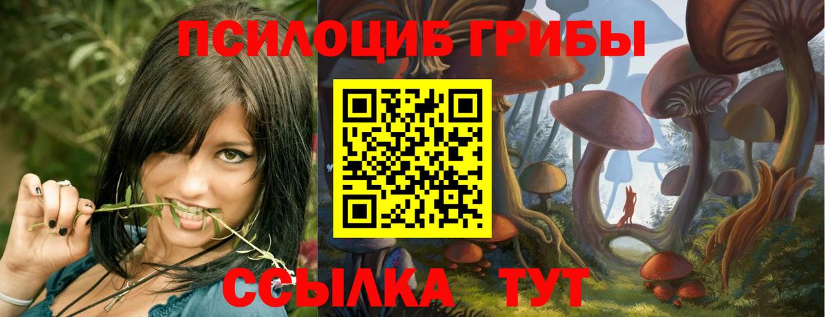 Галлюциногенные грибы Psilocybe  Псилоцибиновые грибы мицелий  Черняховск  Вход с VPN 